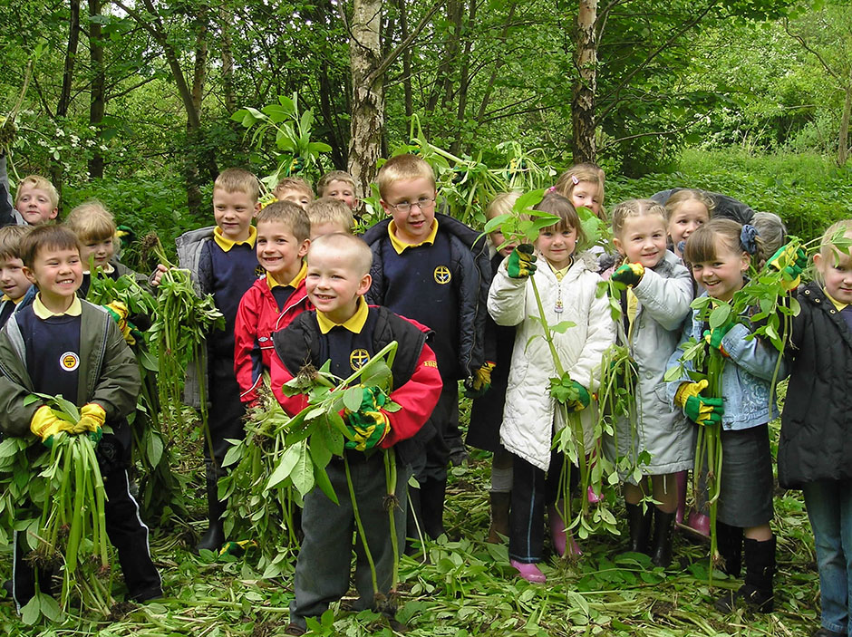 Children getting involved with removing invasive species in Lancashire.