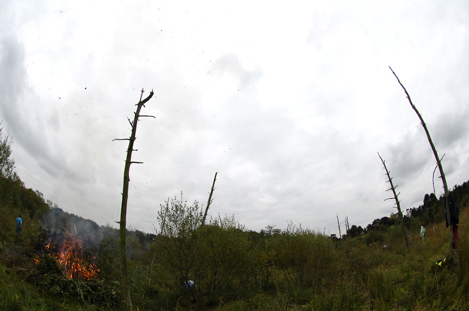 Mersey Basin Week pertners' day at Wynbunbury Moss, Cheshire 2007.